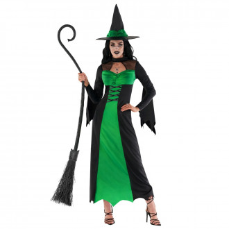Déguisement de méchante sorcière verte pour femmes 